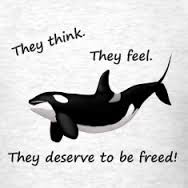 orcas seaworld wildlife free captivity